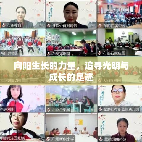 向陽生長(zhǎng)的力量，追尋光明與成長(zhǎng)的足跡