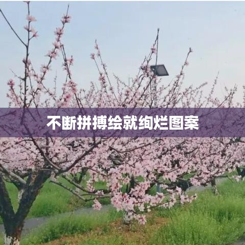 不斷拼搏繪就絢爛圖案