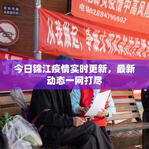 今日錦江疫情實時更新，最新動態(tài)一網(wǎng)打盡