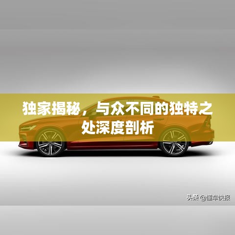 獨家揭秘，與眾不同的獨特之處深度剖析