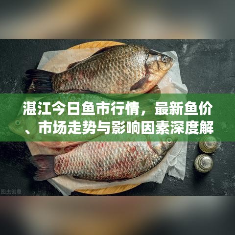 湛江今日魚市行情，最新魚價、市場走勢與影響因素深度解析