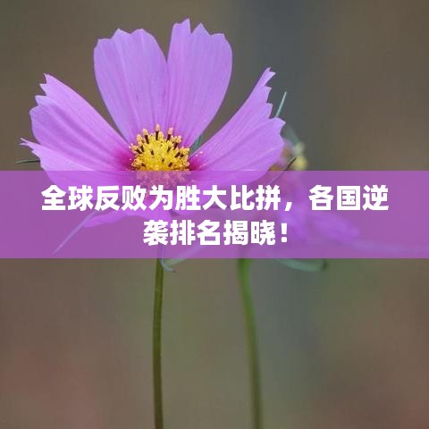 全球反敗為勝大比拼，各國(guó)逆襲排名揭曉！