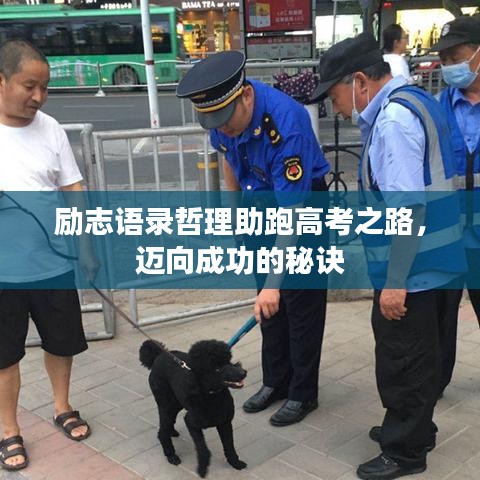 勵(lì)志語(yǔ)錄哲理助跑高考之路，邁向成功的秘訣