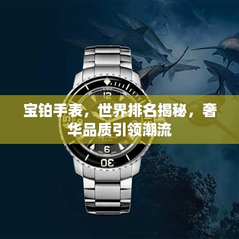 寶鉑手表，世界排名揭秘，奢華品質(zhì)引領(lǐng)潮流