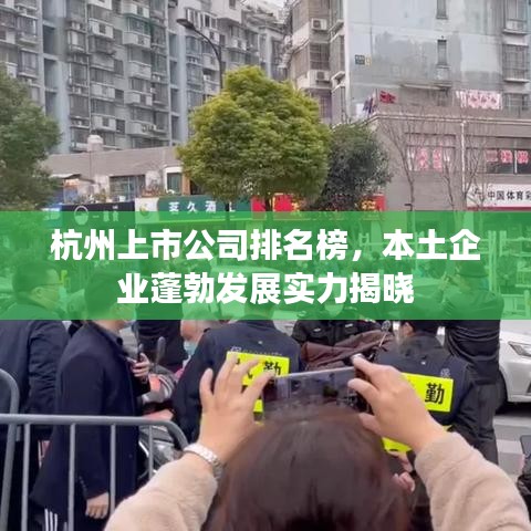 杭州上市公司排名榜，本土企業(yè)蓬勃發(fā)展實(shí)力揭曉