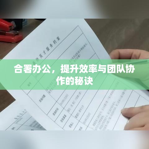 合署辦公，提升效率與團(tuán)隊(duì)協(xié)作的秘訣