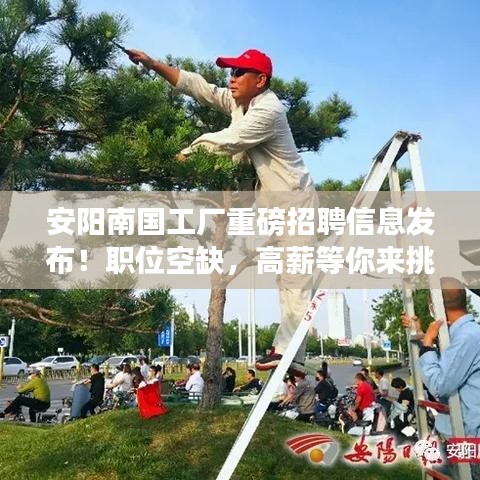 安陽南國工廠重磅招聘信息發(fā)布！職位空缺，高薪等你來挑戰(zhàn)！