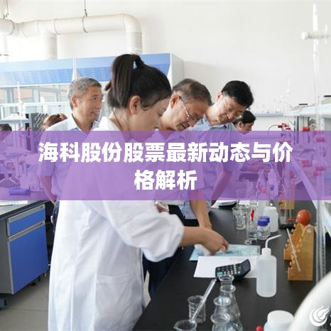 ?？乒煞莨善弊钚聞討B(tài)與價格解析