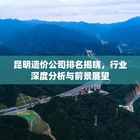 昆明造價(jià)公司排名揭曉，行業(yè)深度分析與前景展望