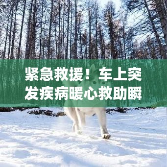 緊急救援！車上突發(fā)疾病暖心救助瞬間