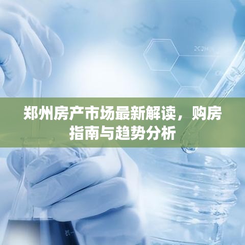 鄭州房產(chǎn)市場(chǎng)最新解讀，購(gòu)房指南與趨勢(shì)分析