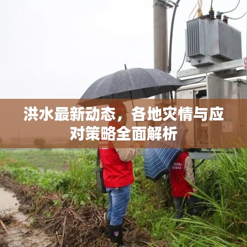 洪水最新動態(tài)，各地災(zāi)情與應(yīng)對策略全面解析