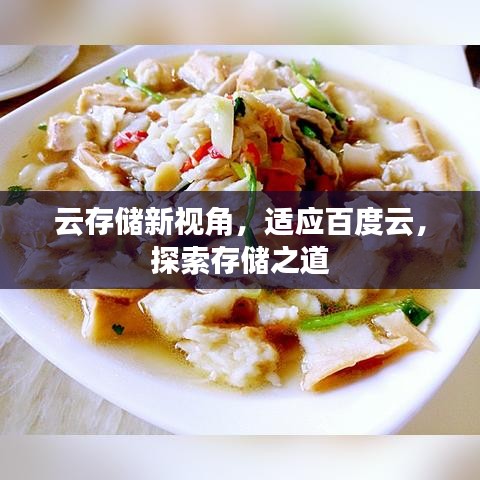 云存儲新視角，適應(yīng)百度云，探索存儲之道