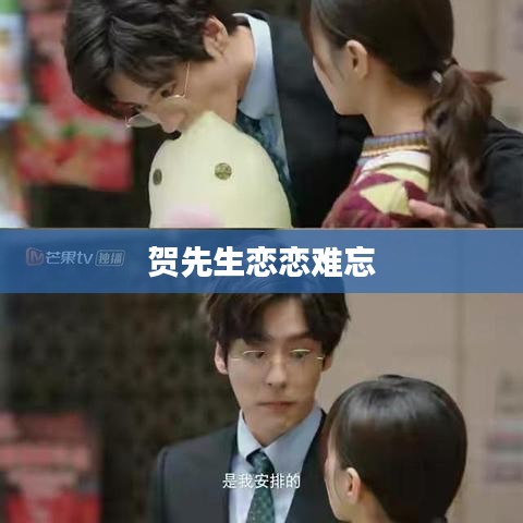 賀先生戀戀難忘