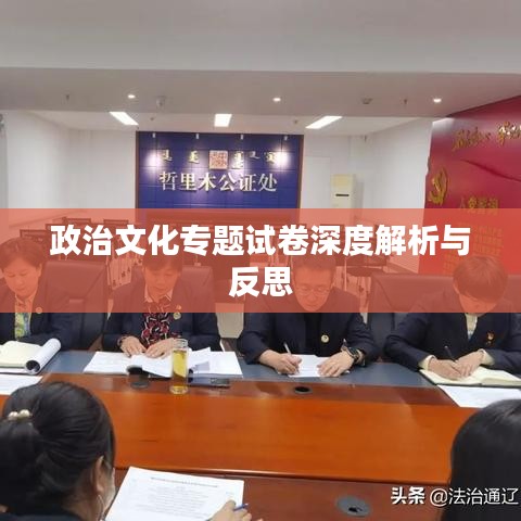 政治文化專題試卷深度解析與反思