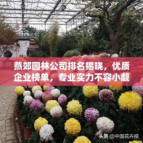 燕郊園林公司排名揭曉，優(yōu)質(zhì)企業(yè)榜單，專業(yè)實(shí)力不容小覷！