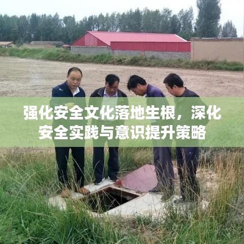 強化安全文化落地生根，深化安全實踐與意識提升策略