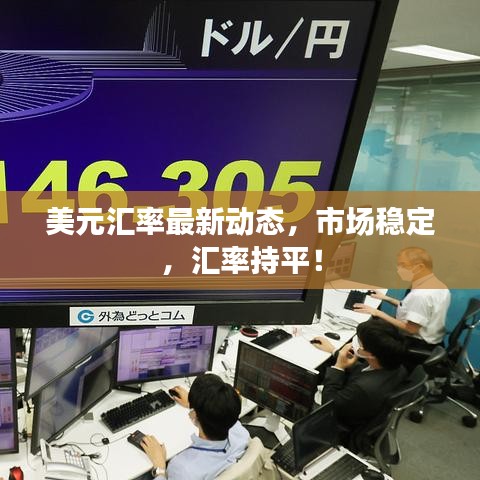 美元匯率最新動態(tài)，市場穩(wěn)定，匯率持平！