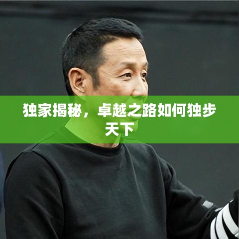 獨(dú)家揭秘，卓越之路如何獨(dú)步天下
