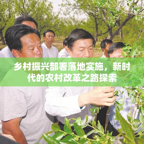 鄉(xiāng)村振興部署落地實施，新時代的農村改革之路探索