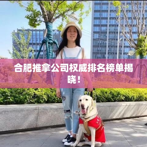 合肥推拿公司權(quán)威排名榜單揭曉！