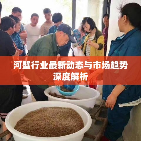 河蟹行業(yè)最新動態(tài)與市場趨勢深度解析