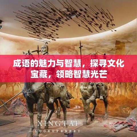 成語的魅力與智慧，探尋文化寶藏，領略智慧光芒