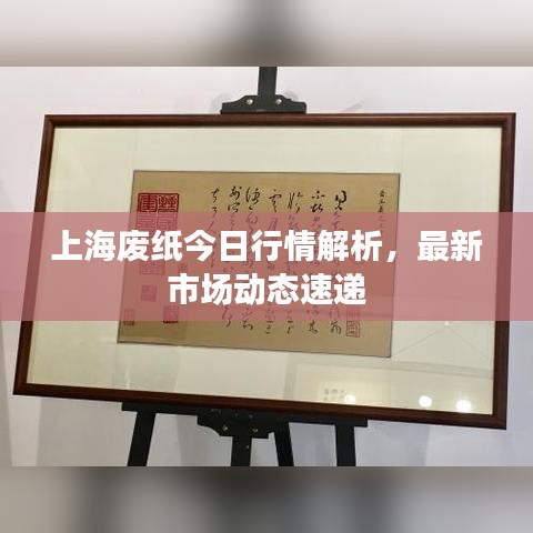 上海廢紙今日行情解析，最新市場(chǎng)動(dòng)態(tài)速遞