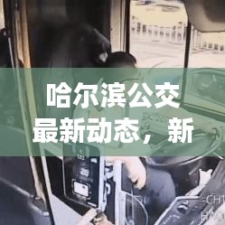哈爾濱公交最新動(dòng)態(tài)，新聞?lì)^條一網(wǎng)打盡