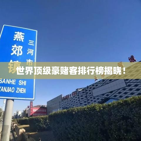 世界頂級(jí)豪賭客排行榜揭曉！