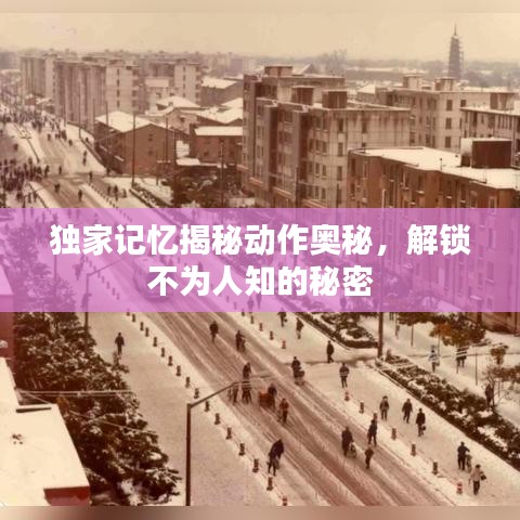 獨(dú)家記憶揭秘動(dòng)作奧秘，解鎖不為人知的秘密