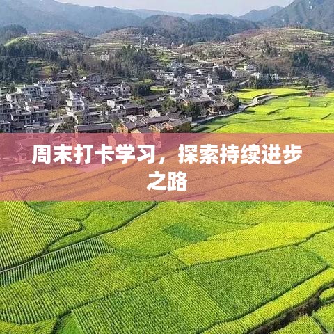 周末打卡學(xué)習(xí)，探索持續(xù)進(jìn)步之路