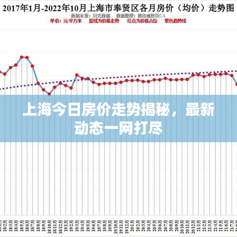 上海今日房價(jià)走勢揭秘，最新動(dòng)態(tài)一網(wǎng)打盡