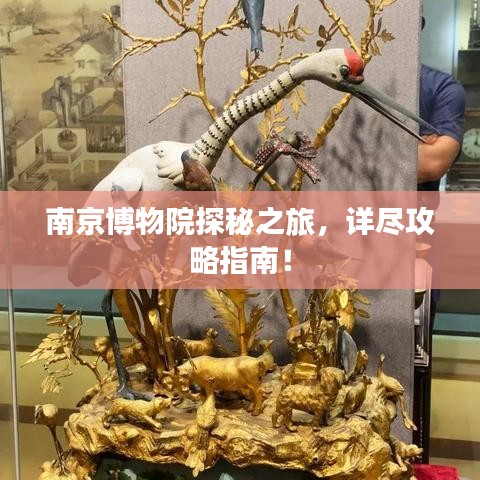 南京博物院探秘之旅，詳盡攻略指南！
