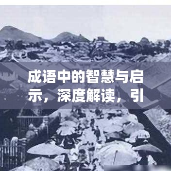 成語中的智慧與啟示，深度解讀，引人熱議