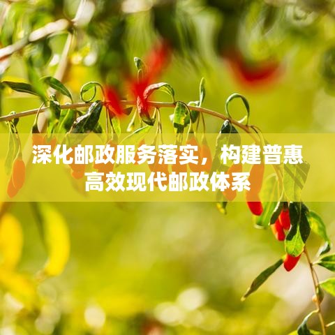 深化郵政服務(wù)落實(shí)，構(gòu)建普惠高效現(xiàn)代郵政體系