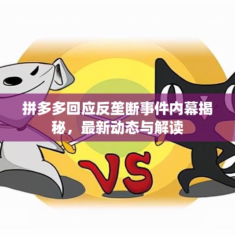 拼多多回應(yīng)反壟斷事件內(nèi)幕揭秘，最新動(dòng)態(tài)與解讀