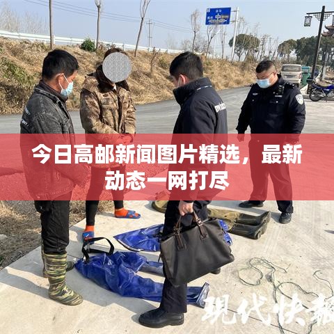 今日高郵新聞圖片精選，最新動態(tài)一網(wǎng)打盡