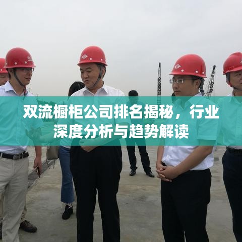 雙流櫥柜公司排名揭秘，行業(yè)深度分析與趨勢解讀