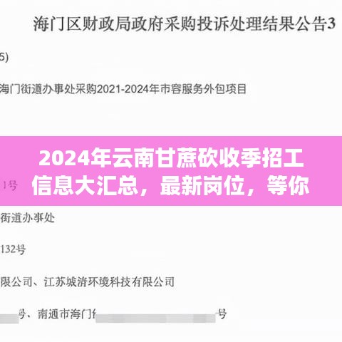 2024年云南甘蔗砍收季招工信息大匯總，最新崗位，等你來(lái)砍！