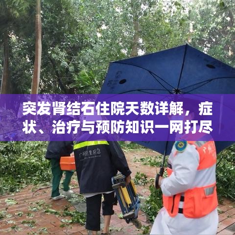 突發(fā)腎結石住院天數(shù)詳解，癥狀、治療與預防知識一網(wǎng)打盡