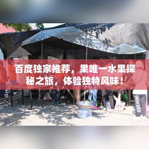 百度獨(dú)家推薦，果唯一水果探秘之旅，體驗獨(dú)特風(fēng)味！