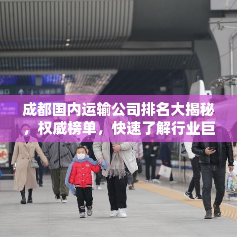 成都國內(nèi)運(yùn)輸公司排名大揭秘，權(quán)威榜單，快速了解行業(yè)巨頭！