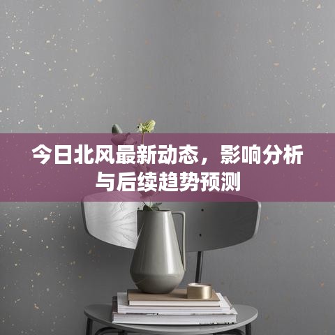 今日北風(fēng)最新動(dòng)態(tài)，影響分析與后續(xù)趨勢(shì)預(yù)測(cè)