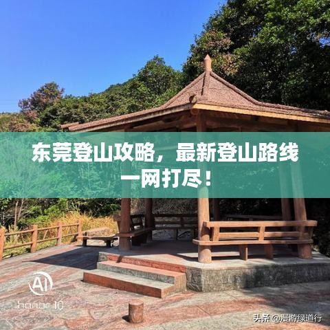 東莞登山攻略，最新登山路線一網(wǎng)打盡！