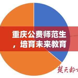 重慶公費師范生，培育未來教育之光，塑造國之棟梁