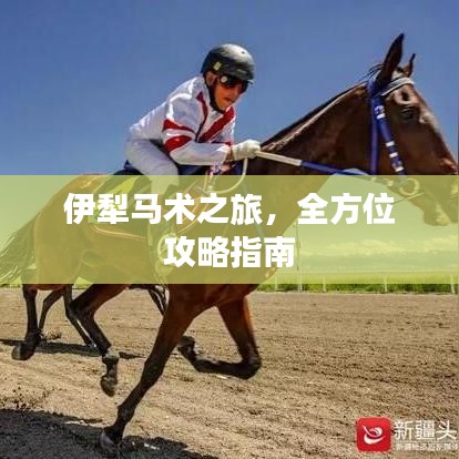 伊犁馬術(shù)之旅，全方位攻略指南
