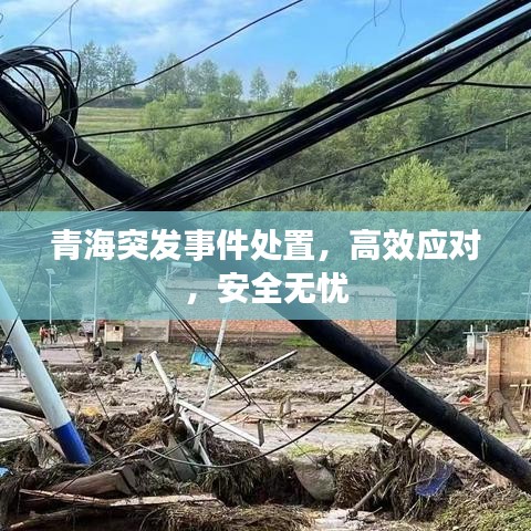 青海突發(fā)事件處置，高效應(yīng)對，安全無憂