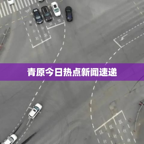 青原今日熱點新聞速遞