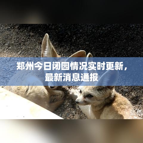 鄭州今日閉園情況實時更新，最新消息通報